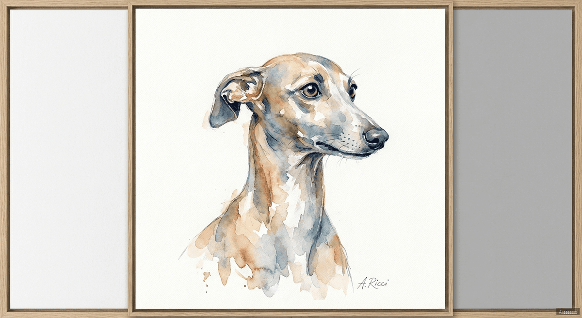 義大利灰狗(Italian Sighthound)